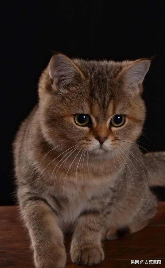 凉风乍起吹我心 过往倏忽已飘零