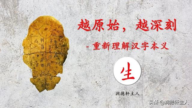 越原始 越深刻 重新理解汉字本义 生 生不息
