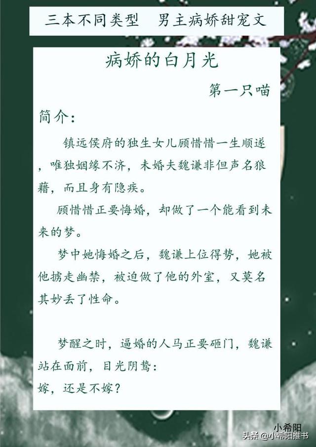 三本男主病娇甜宠文追妻火葬场 病娇的白月光 想你想疯了 今日头条 三本男主病娇甜宠文追妻火葬场 病娇的白月光 想你想疯了 今日头条