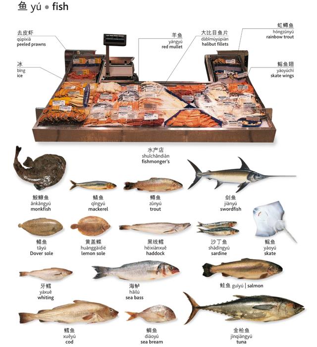 几乎所有食材的英文翻译 建议收藏 配音标