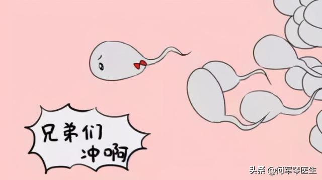 不孕 不良妊娠史 精液检查是常规