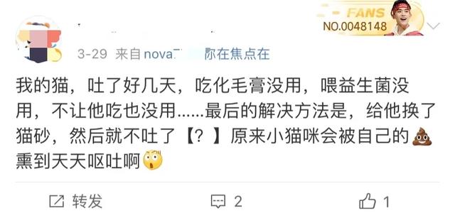 全网最全！猫咪呕吐大揭秘！（养猫收藏）