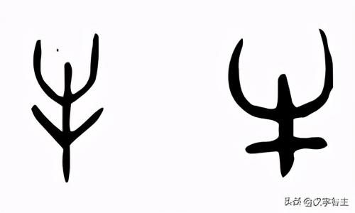 汉字博物 牛年话牛 甲骨文 牛 是什么牛 牛文化造出哪些 汉字博物 牛年话牛 甲骨文 牛 是什么牛 牛文化造出哪些